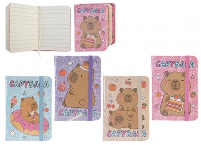 CAPIBARA quaderno A7 a righe 4ass In espo da 24pz…x24…x72